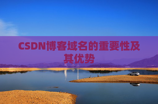 CSDN博客域名的重要性及其优势
